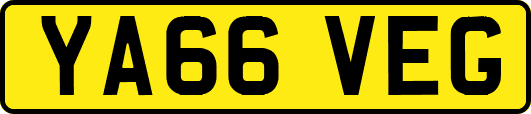 YA66VEG