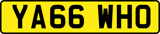 YA66WHO