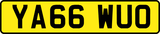 YA66WUO