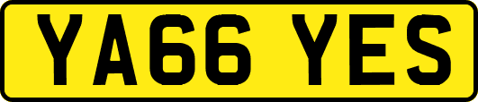 YA66YES