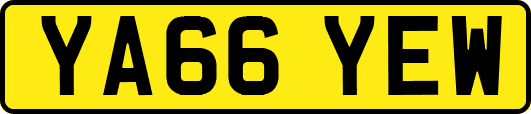 YA66YEW