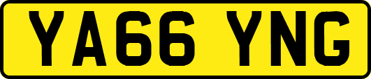 YA66YNG