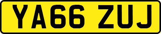 YA66ZUJ