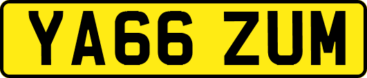YA66ZUM