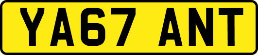 YA67ANT