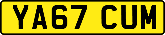 YA67CUM