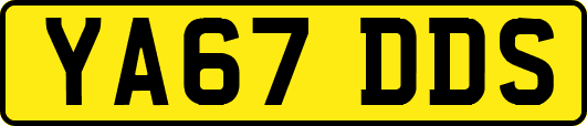 YA67DDS