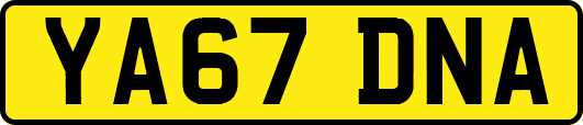 YA67DNA