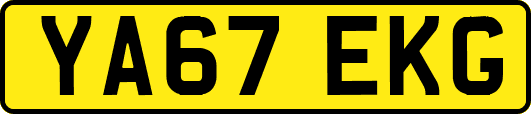 YA67EKG