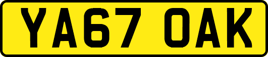 YA67OAK