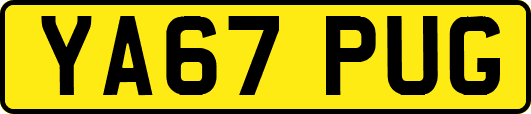 YA67PUG