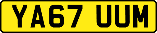 YA67UUM