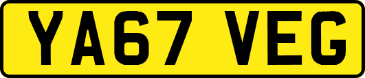 YA67VEG