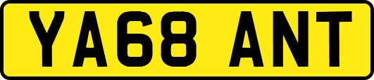 YA68ANT
