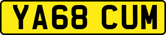 YA68CUM