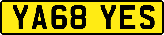 YA68YES
