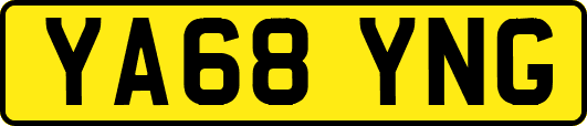 YA68YNG