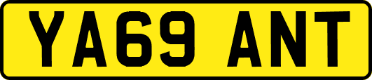 YA69ANT
