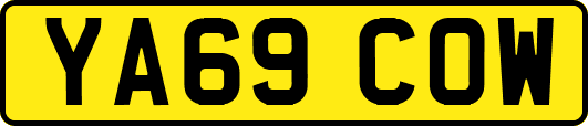 YA69COW