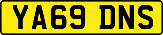 YA69DNS