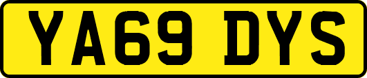 YA69DYS