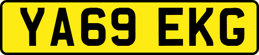 YA69EKG