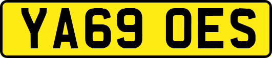 YA69OES