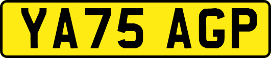 YA75AGP
