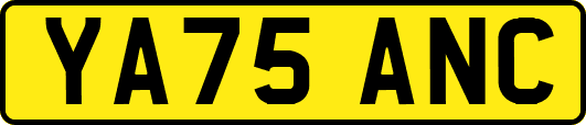 YA75ANC