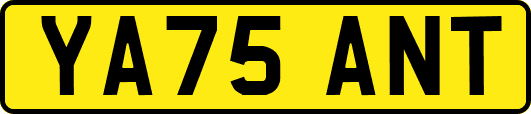 YA75ANT
