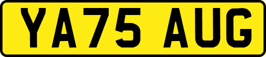 YA75AUG