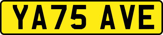 YA75AVE