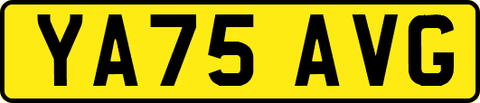 YA75AVG