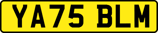 YA75BLM
