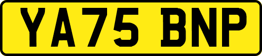 YA75BNP