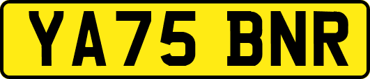 YA75BNR