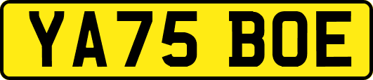 YA75BOE
