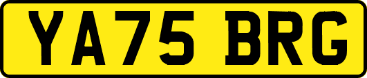 YA75BRG