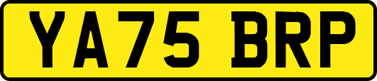 YA75BRP