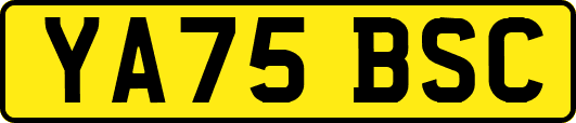 YA75BSC