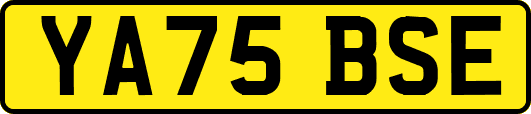 YA75BSE