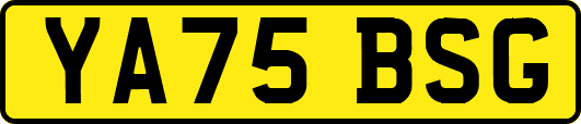 YA75BSG