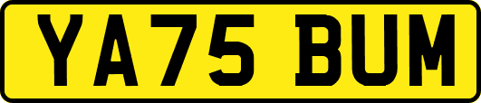 YA75BUM