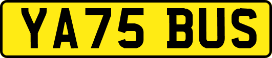 YA75BUS