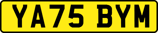 YA75BYM