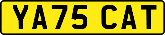YA75CAT