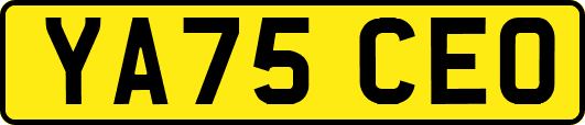 YA75CEO
