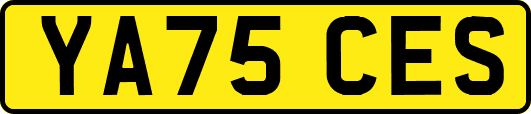 YA75CES