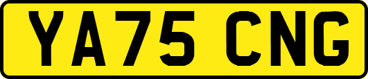 YA75CNG