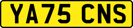 YA75CNS